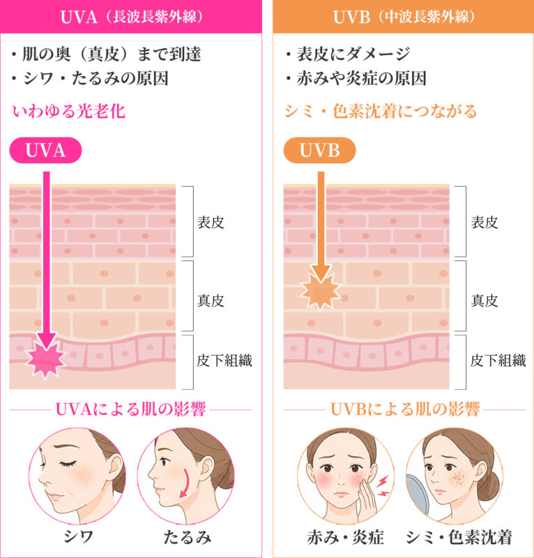 肌への影響が大きいのは「UVA」と「UVB」