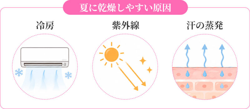 夏に乾燥しやすい原因