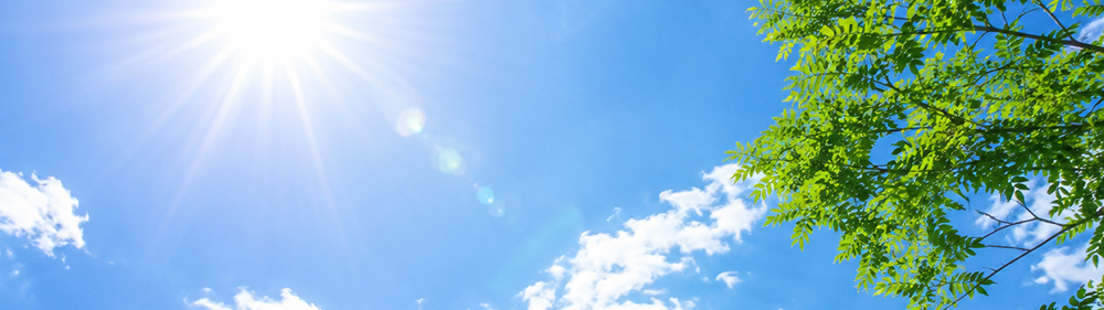 夏