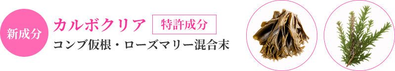 新成分「カルボクリア」を配合